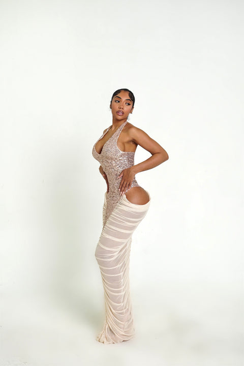 Champaign Shower Dress Rose